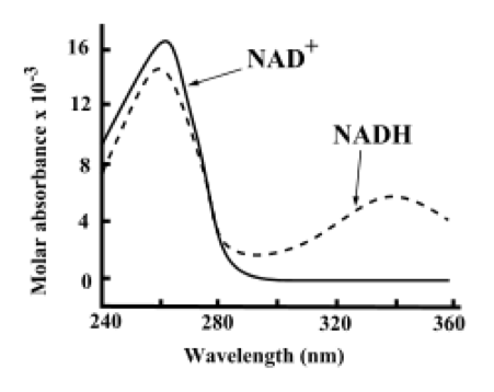 Graph accompanying a GAMSAT Section 3 biology practice question