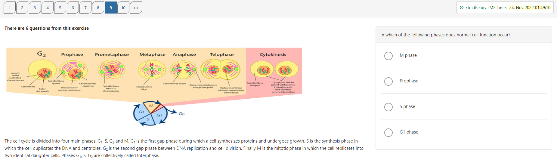 Screenshot of GradReady's GAMSAT practice test interface showing results and answer review